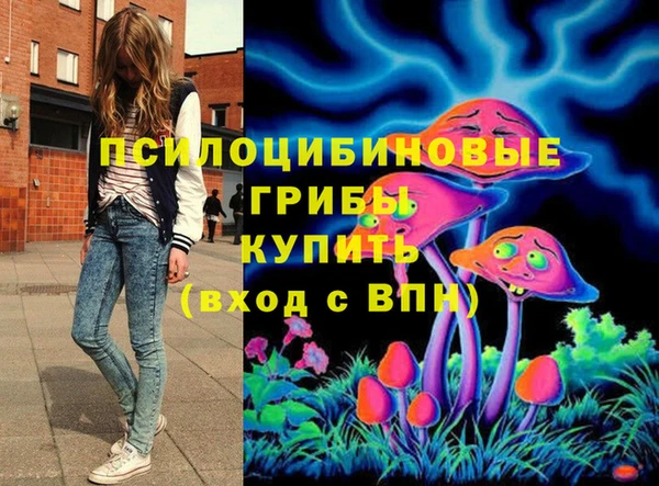 мяу мяу мука Бородино